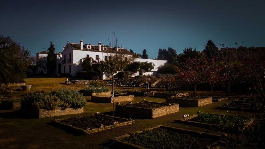 Presentación de la web Suerte Alta